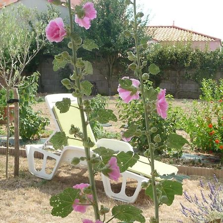 Chambre D'Hote Fleur De Potager Les Sables-dʼOlonne 외부 사진