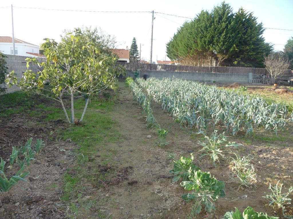 Chambre D'Hote Fleur De Potager Les Sables-dʼOlonne 외부 사진