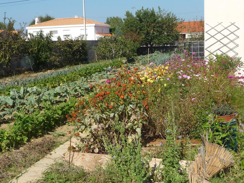 Chambre D'Hote Fleur De Potager Les Sables-dʼOlonne 외부 사진