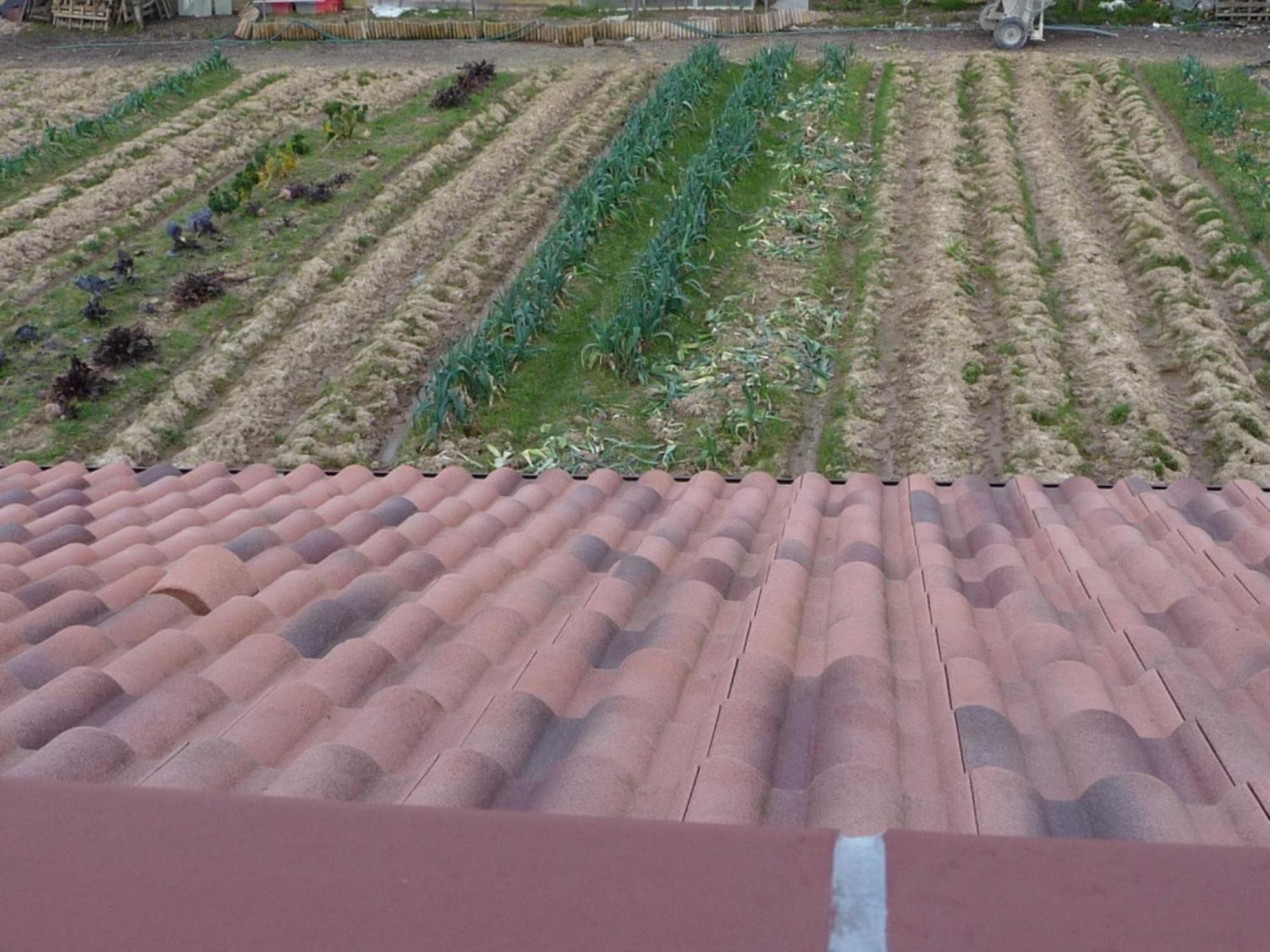 Chambre D'Hote Fleur De Potager Les Sables-dʼOlonne 외부 사진